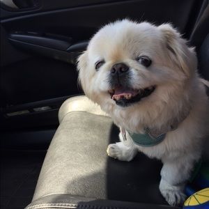 Meet your Posher, Julia